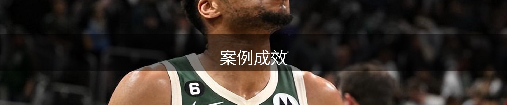 案例成效